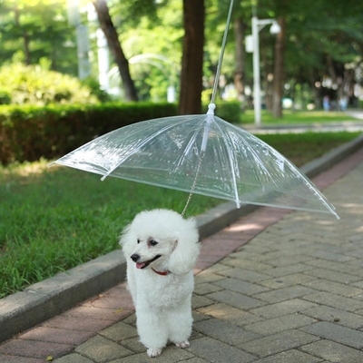 Op maat opvouwbare waterdichte witte transparante plastic parasol voor huisdieren met aluminium handvat