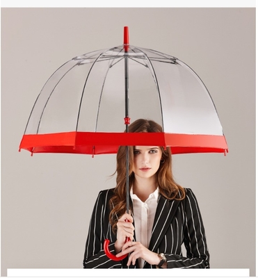 Stylish Dome Shape Clear PVC Plastic Regenparaplu voor volwassenen Apollo Minimalist Design