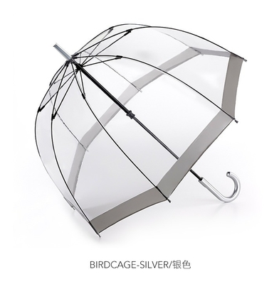 Stylish Dome Shape Clear PVC Plastic Regenparaplu voor volwassenen Apollo Minimalist Design